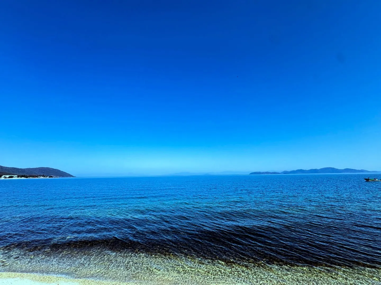 今日は雲ひとつない晴天で、青空が広がっています☀️。